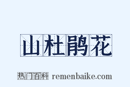 山杜鹃花是什么意思的图片